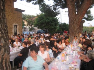 IMG 4437