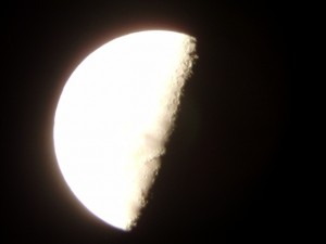 P6190026