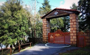Kataskinwseis I.M.M.SP.